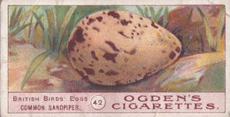 Birds Eggs 1908  - Ogdens  Cigarette Card - Original - Antique - 42 Common Sandpiper - Ogden's