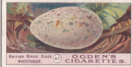 Birds Eggs 1908  - Ogdens  Cigarette Card - Original - Antique - 47 WhiteThroat - Ogden's