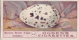 Birds Eggs 1908  - Ogdens  Cigarette Card - Original - Antique - 48 Razorbill - Ogden's