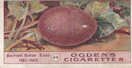 Birds Eggs 1908  - Ogdens  Cigarette Card - Original - Antique - 49 Tree Pipit - Ogden's