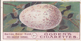 Birds Eggs 1908  - Ogdens  Cigarette Card - Original - Antique -  31 Red Backed Shrike - Ogden's