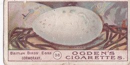 Birds Eggs 1908  - Ogdens  Cigarette Card - Original - Antique -  36 Cormorant - Ogden's