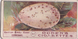 Birds Eggs 1908  - Ogdens  Cigarette Card - Original - Antique -  40 Corncrake - Ogden's