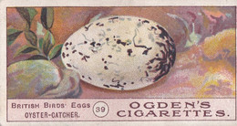 Birds Eggs 1908  - Ogdens  Cigarette Card - Original - Antique -  39 Oyster Catcher - Ogden's