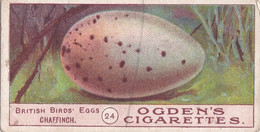 Birds Eggs 1908  - Ogdens  Cigarette Card - Original - Antique -  24 Chaffinch - Ogden's