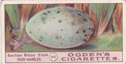 Birds Eggs 1908  - Ogdens  Cigarette Card - Original - Antique -  30 Reed Warbler - Ogden's