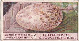 Birds Eggs 1908  - Ogdens  Cigarette Card - Original - Antique -  29 Spotted Flycatcher - Ogden's