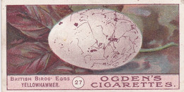 Birds Eggs 1908  - Ogdens  Cigarette Card - Original - Antique -  27 Yellow Hammer - Ogden's