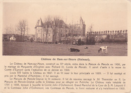 CP.Ham Sur Heure  Le Chateau - Ham-sur-Heure-Nalinnes