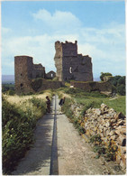 SAISSAC LE CHATEAU FEODAL - Sonstige & Ohne Zuordnung