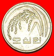 * RICE (1983-2019): SOUTH KOREA ★ 50 WON 1988! DISOVERY COIN! LOW START ★ NO RESERVE! - Corée Du Sud