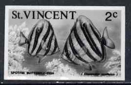 St Vincent 1975 Butterflyfish 2c Stamp Size Black & White Photographic Proof Similar To Issued Stamp But With Thicker Le - St.Vincent (1979-...)