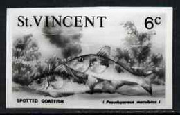 St Vincent 1975 Spotted Goatfish 6c Stamp Size Black & White  Photographic Proof Similar To Issued Stamp But With Thicke - St.Vincent (1979-...)