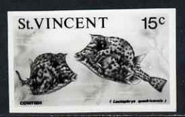 St Vincent 1975 Cowfish 15c Stamp Size Black & White  Photographic Proof Similar To Issued Stamp But With Thicker Letter - St.Vincent (1979-...)