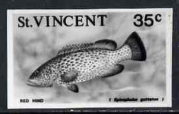 St Vincent 1975 Red Hind 35c Stamp Size Black & White  Photographic Proof Similar To Issued Stamp But With Thicker Lette - St.Vincent (1979-...)