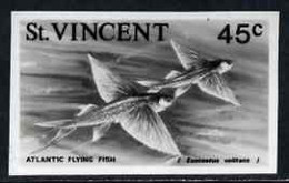 St Vincent 1975 Atlantic Flyingfish 45c Stamp Size Black & White  Photographic Proof Similar To Issued Stamp But With Th - St.Vincent (1979-...)