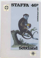 Staffa 1983 Primates (Hair Lipped Monkey) Original Composite Artwork Believed To Be From The B L Kearley Studio, Compris - Local Issues