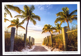 AK 000488 USA  - Florida - Smathers Beach Auf Key West - Key West & The Keys