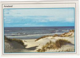 Ameland - Duinen Met Zee - (Wadden, Nederland / Holland) - 801 - Ameland