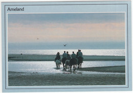 Ameland - Ruiters, Paarden Op Het Strand - (Wadden, Nederland / Holland) - 816 - Ameland