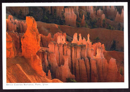 AK 000644 USA  - Utah - Bryce Canyon National Park - Bryce Canyon