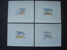 SENEGAL 1993 / 1153-1156 / 4 LUXE PROOFS / BIRDS FAUNA Sternes - Senegal (1960-...)