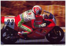 DOUG POLEN.Campione Mondiale Superbike 1991.Ducati 851 Superbike. (01/10/2011) - Motorradsport