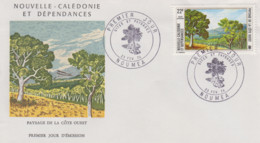 Enveloppe   FDC   1er   Jour   NOUVELLE   CALEDONIE    Paysages  De  La  Côte  Ouest    1974 - FDC