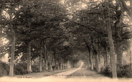 44 - CARQUEFOU - Avenue Du Château De L'Epinay - Carquefou