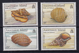 Ascension: 1989  Sea Shells  MNH - Ascension
