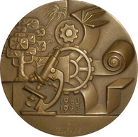 ESPAÑA. MEDALLA F.N.M.T. ASOCIACION DE INVESTIGACION DE LA INDUSTRIA PAPELERA ESPAÑOLA. 1.973. ESPAGNE. SPAIN MEDAL - Professionali/Di Società