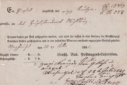 BADEN 1845 DOCUMENT POSTAL - Lettres & Documents