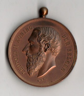 Médaille Léopold II - Maatschappij De Boomteeltkring Wetteren 1898 Par H.F.T. 51 Mm, Bronze - Autres & Non Classés