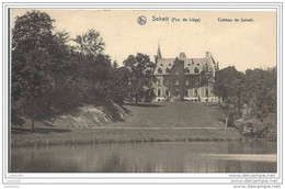 SOHEIT ..-- TINLOT ..-- Château De Soheit . - Tinlot