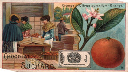 JOLIE CHROMO / CHOCOLAT  SUCHARD /  SERIE 140 / ORANGE / 9 - Van Houten