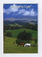 Upcountry Maui. CP Utilisée Voyagée Avec TP Non Affranchi Mais Code-barre Postal En Bas Du Verso Nature, Chevaux, Horses - Maui