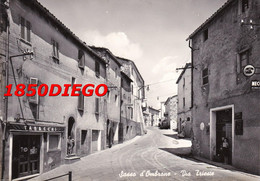 SASSO D ' OMBRONE - VIA TRIESTE  F/GRANDE VIAGGIATA   ANIMAZIONE TABACCHI - Grosseto