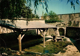 Fontenay Rohan Rohan La Grande Fontaine Et Le Lavoir    CPM Ou CPSM - Frontenay-Rohan-Rohan