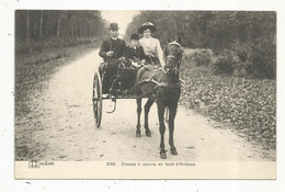 Cp, Sports , Chasse à Courre  En Forêt D'ORLEANS ,45, Voyagée 1914 , Attelage - Hunting