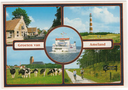 Groeten Van Ameland - Koeien, Fietsen, Boswachterij, Vuurtoren, Veerboot - (Wadden, Nederland / Holland) - AMD 16 - Ameland