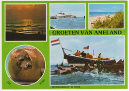 Groeten Van Ameland - Zeehond, Reddingsboot In Aktie - (Wadden, Nederland / Holland) -  Nr. AMD 35 - Ameland