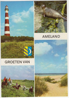 Groeten Van Ameland - Vuurtoren, Zeehond Pup, Ruiters, Duin - (Wadden, Nederland / Holland) -  Nr. L 252 - Ameland