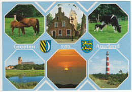 Groeten Van Ameland - Paard, Veulen, Huisje, Koe, Kalf, Vuurtoren, Kerk - (Wadden, Nederland / Holland) -  Nr. AMD 104 - Ameland