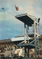 75 - Paris - Stade Georges Vallerey - Double Saut Périlleux Et Demi Avant Carpé Plongeon De Haut Vol - Salto De Trampolin