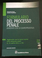 Formulario Del Processo Penale: Annotato Con La Giurisprudenza - P - Language Trainings