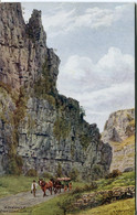 A R QUINTON - SALMON 3044 - A PINNACLE, CHEDDAR GORGE - Quinton, AR