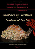 Conchiglie Del Mar Rosso-Red Sea’s Seashelles. Ediz. Bilingue Di Giuseppe Giulio - Natuur