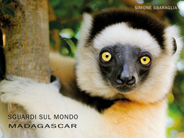 Sguardi Sul Mondo: Madagascar	 Di Simone Sbaraglia,  2021,  Youcanprint - Natura