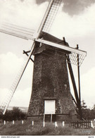 Arendonk - Molen STEENDONKER - Anno 1770 - Arendonk