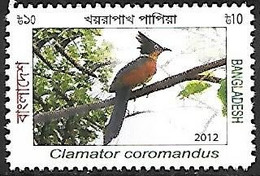 Bangladesh - MNH ** 2012 :    Chestnut-winged Cuckoo -  Clamator Coromandus - Kuckucke & Turakos